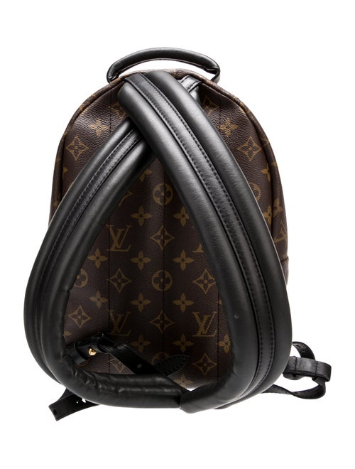 Louis Vuitton LV Monogram Palm Springs PM