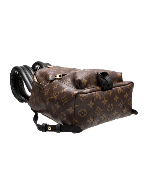 Louis Vuitton LV Monogram Palm Springs PM