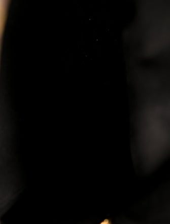 Louis Vuitton LV Monogram Palm Springs PM