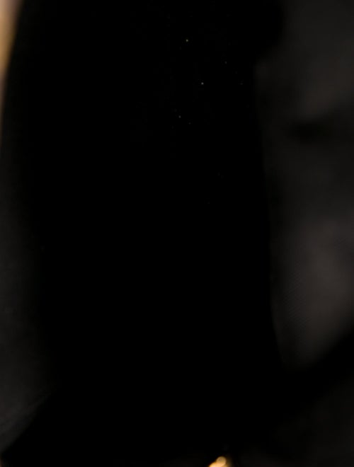 Louis Vuitton LV Monogram Palm Springs PM