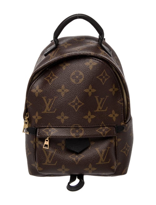Louis Vuitton LV Monogram Palm Springs Mini