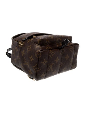 Louis Vuitton LV Monogram Palm Springs Mini