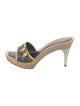 Louis Vuitton Monogram Pattern Denim Slides