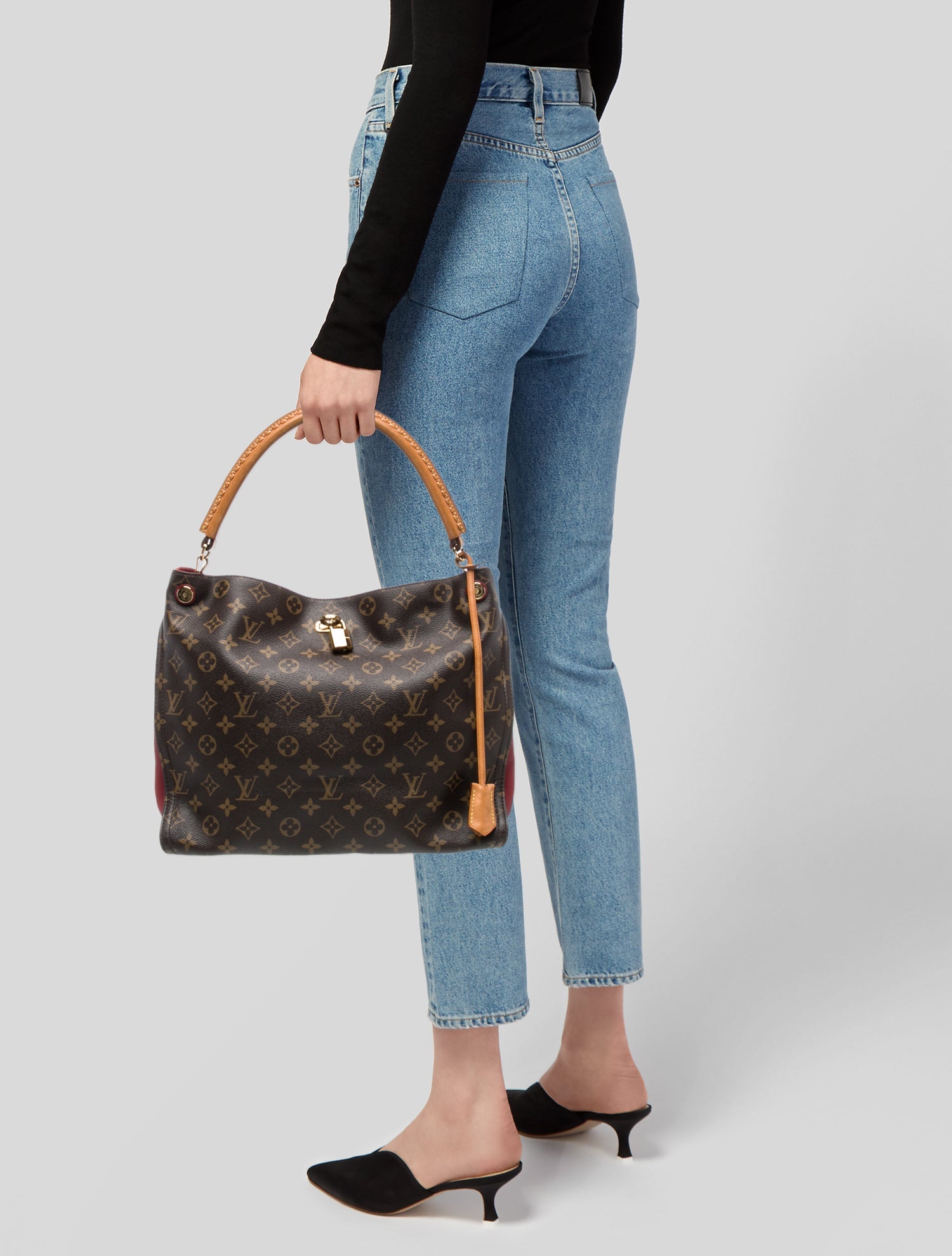 Louis Vuitton LV Monogram Gaia