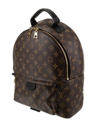 Louis Vuitton LV Monogram Palm Springs MM