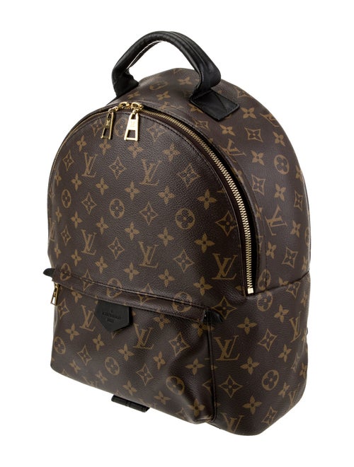 Louis Vuitton LV Monogram Palm Springs MM