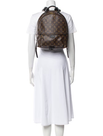 Louis Vuitton LV Monogram Palm Springs MM