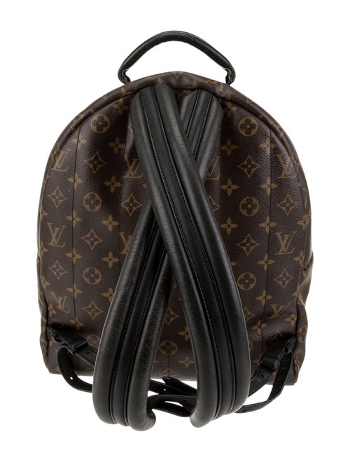 Louis Vuitton LV Monogram Palm Springs MM