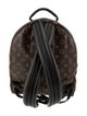 Louis Vuitton LV Monogram Palm Springs MM