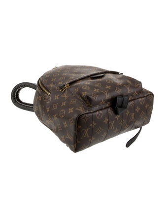 Louis Vuitton LV Monogram Palm Springs MM