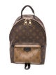 Louis Vuitton Monogram Palm Springs PM