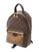 Louis Vuitton Monogram Palm Springs PM