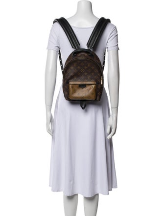 Louis Vuitton Monogram Palm Springs PM