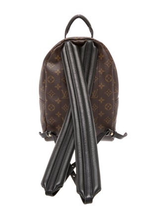 Louis Vuitton Monogram Palm Springs PM