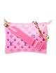 Louis Vuitton LV Monogram Coussin PM