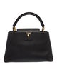 Louis Vuitton LV Monogram Capucines PM