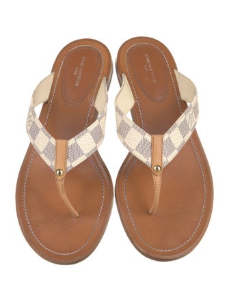 Louis Vuitton LV Monogram Slides