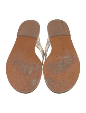 Louis Vuitton LV Monogram Slides