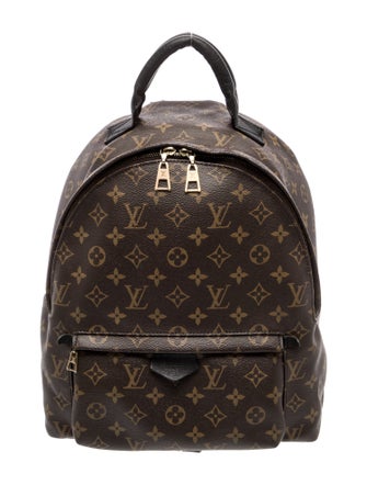 Louis Vuitton LV Monogram Palm Springs MM