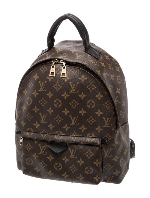 Louis Vuitton LV Monogram Palm Springs MM