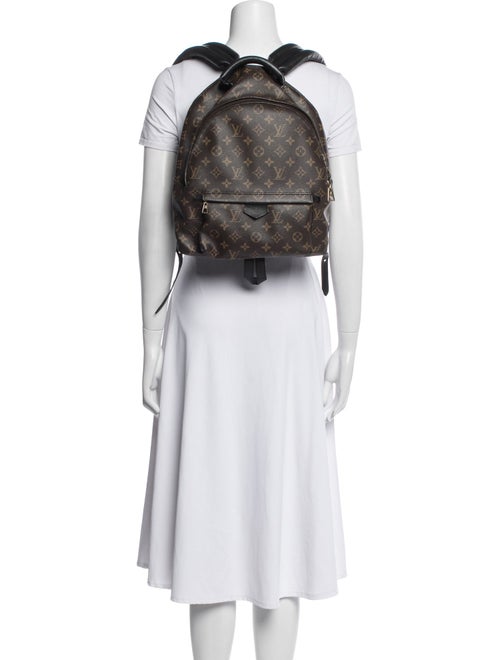 Louis Vuitton LV Monogram Palm Springs MM