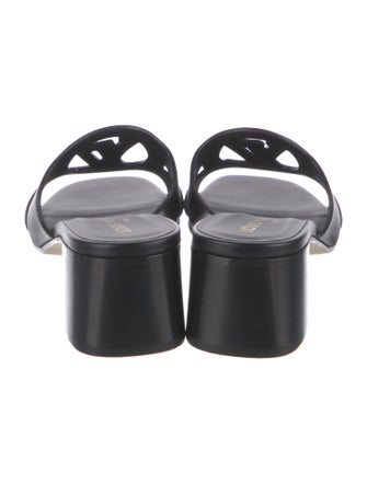 Louis Vuitton LV Monogram Leather Slides