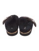 Louis Vuitton LV Monogram Shearling Mules