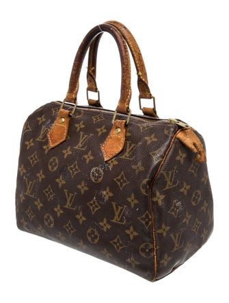 Louis Vuitton LV Monogram Speedy 25
