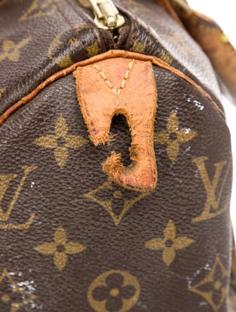 Louis Vuitton LV Monogram Speedy 25