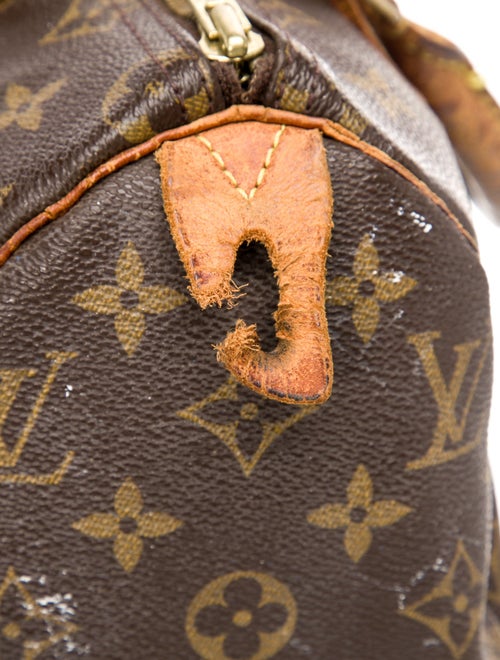 Louis Vuitton LV Monogram Speedy 25