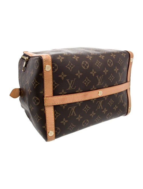 Louis Vuitton LV Monogram Marais MM