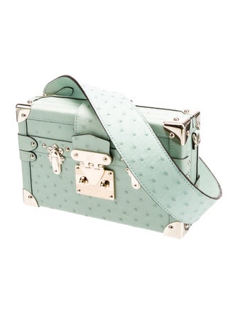 Louis Vuitton Ostrich Petite Malle 2025