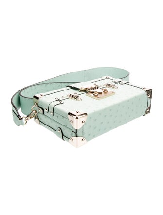 Louis Vuitton Ostrich Petite Malle 2025