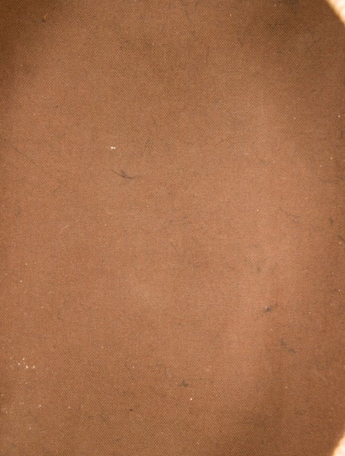 Louis Vuitton LV Monogram Speedy 30