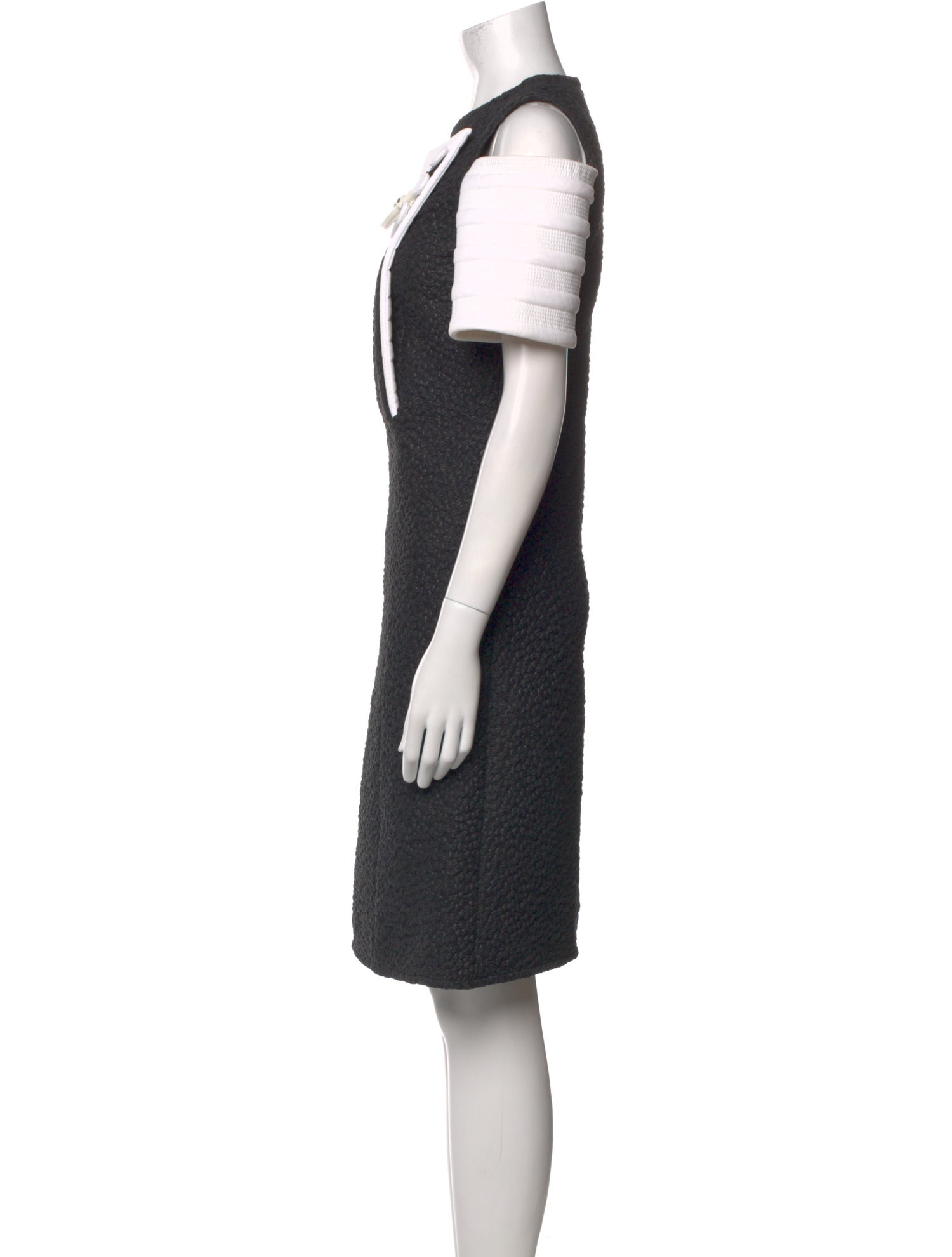 Louis Vuitton 2023 Knee-Length Dress