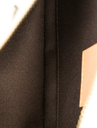 Louis Vuitton LV Monogram x Tyler the Creator Craggy Soft Trunk Mini