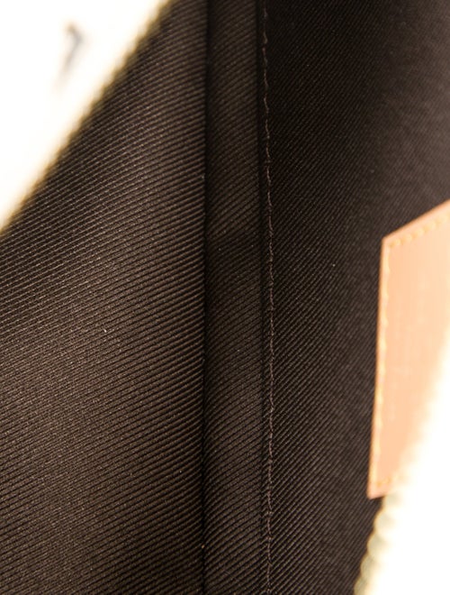 Louis Vuitton LV Monogram x Tyler the Creator Craggy Soft Trunk Mini