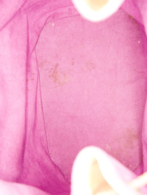 Louis Vuitton Epi Leather Noé