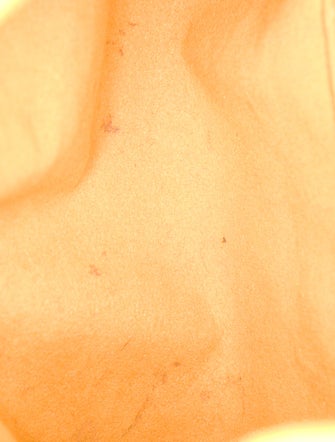 Louis Vuitton Monogram Baggy PM