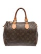 Louis Vuitton LV Monogram Speedy 25