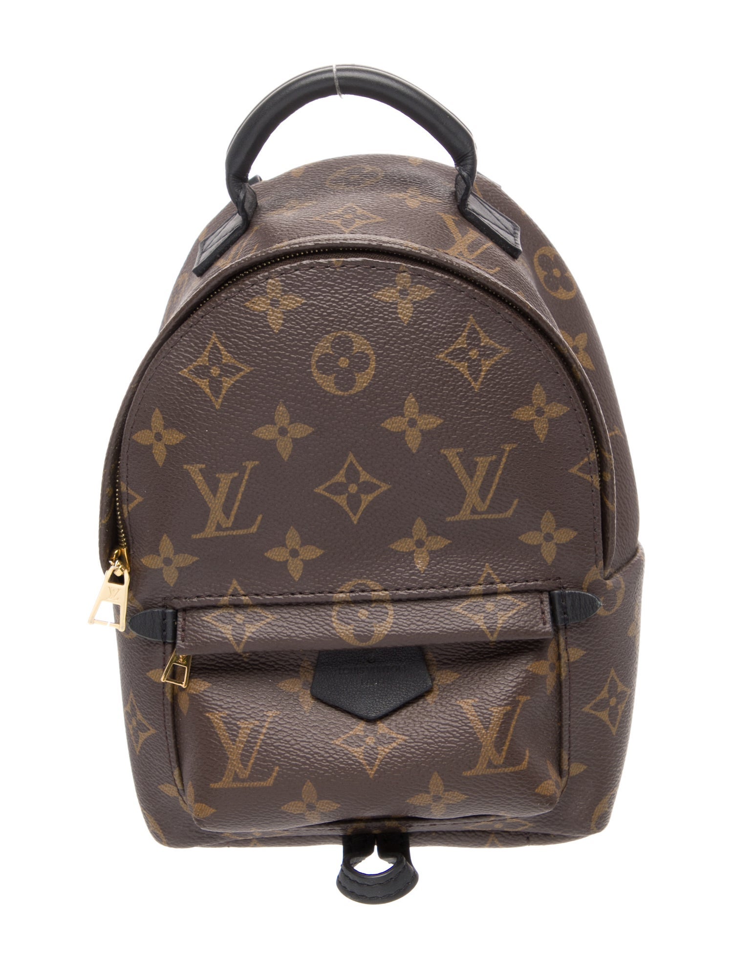 Louis Vuitton LV Monogram Palm Springs
