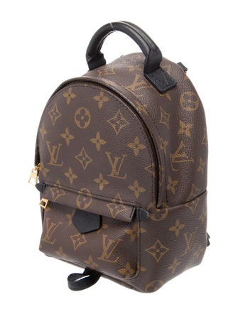 Louis Vuitton LV Monogram Palm Springs