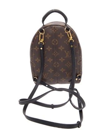 Louis Vuitton LV Monogram Palm Springs