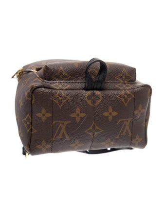 Louis Vuitton LV Monogram Palm Springs