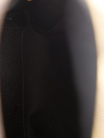 Louis Vuitton LV Monogram Palm Springs