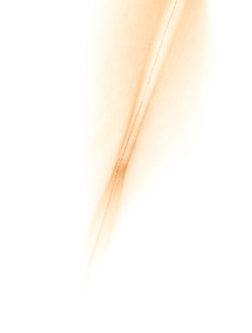 Louis Vuitton Monogram iPad Case