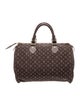 Louis Vuitton Monogram Mini Lin Speedy