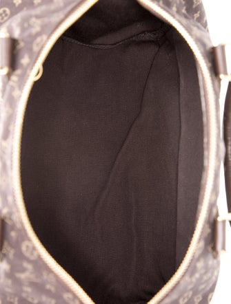 Louis Vuitton Monogram Mini Lin Speedy