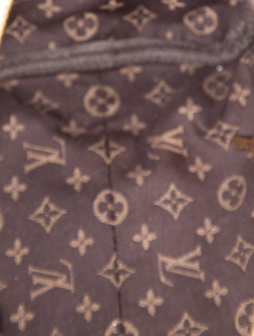 Louis Vuitton Monogram Express PM