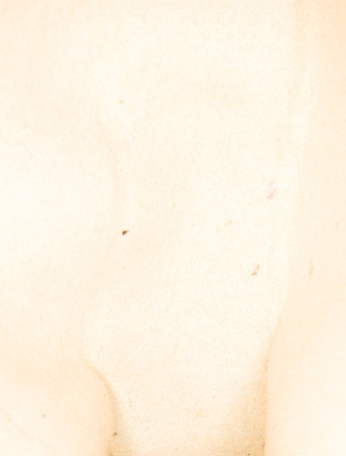 Louis Vuitton LV Monogram Pochette Florentine